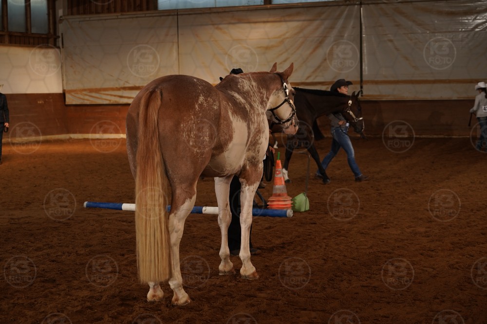 s_A_907206.JPG